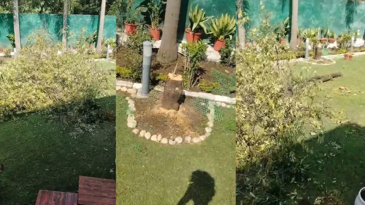 भोपाल में IAS विवेक पोरवाल के बंगले से चोरी हुआ चंदन का पेड़, सुरक्षा व्यवस्था सवालों के घेरे में