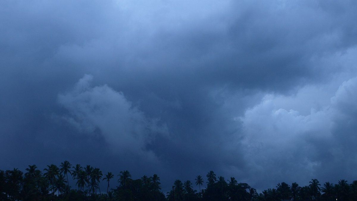 तस्वीरों में मानसून: बारिश का मौसम और जीवन